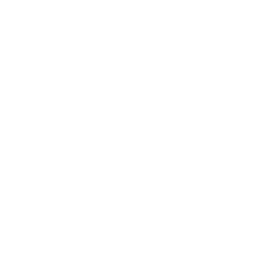 20+ years logo