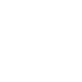 saving money icon